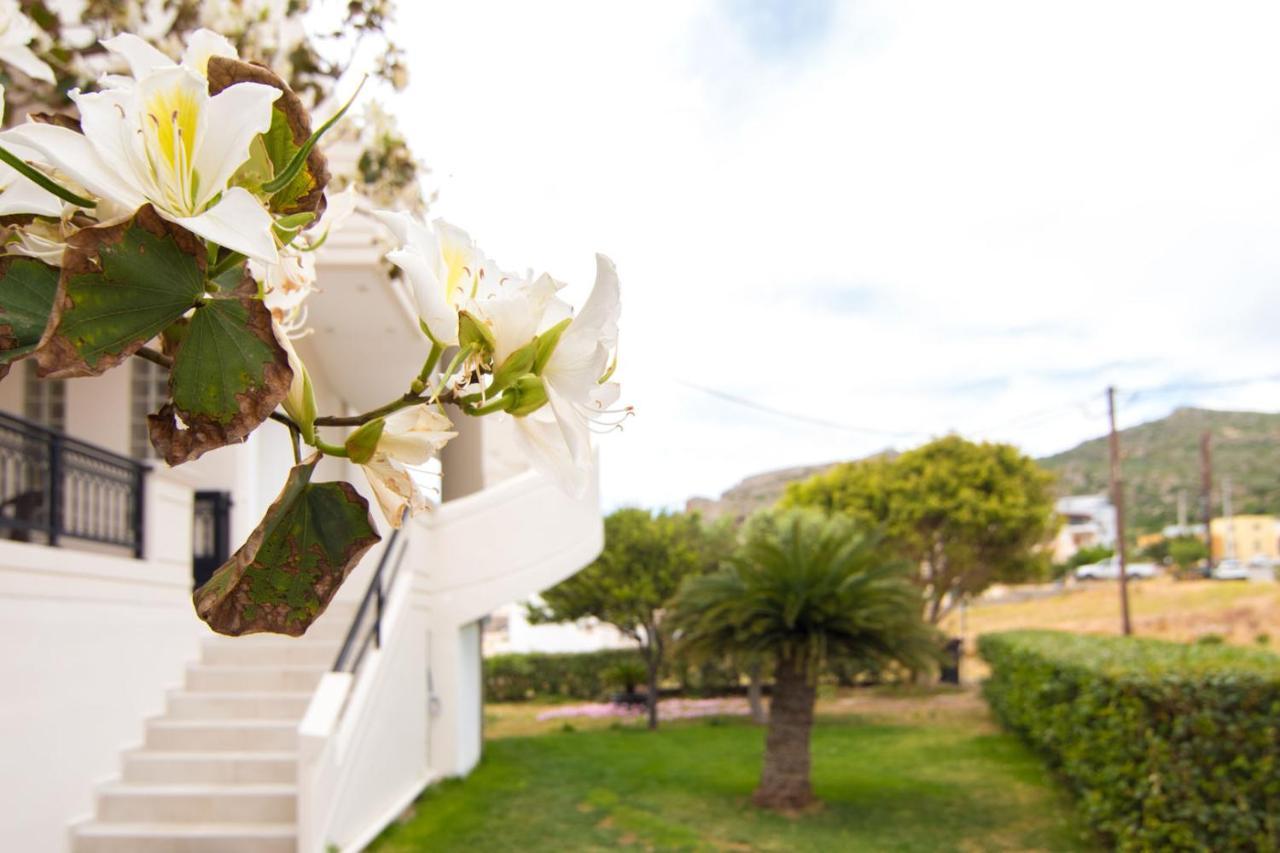 Allview Apartments Παλαιοχώρα Εξωτερικό φωτογραφία